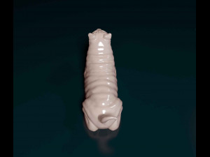 Shar Pei dog 3Dプリントモデル