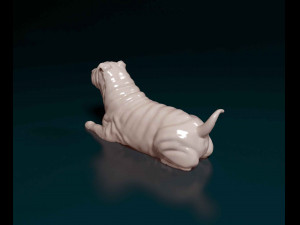 Shar Pei dog 3Dプリントモデル