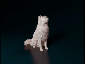 Sheltie 3D Print Model