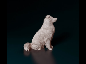 Sheltie 3D प्रिंट मॉडल