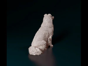 Sheltie 3D Print Model