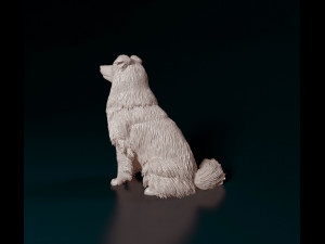 Sheltie 3D प्रिंट मॉडल
