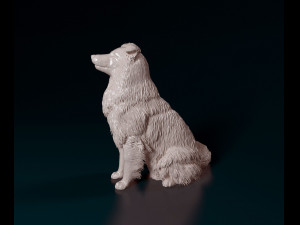 Sheltie 3D प्रिंट मॉडल