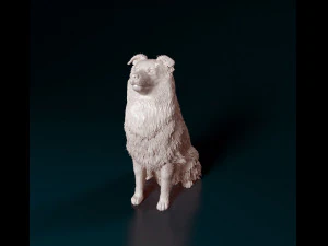 Sheltie 3D Print Model