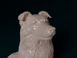 Sheltie 3D प्रिंट मॉडल