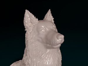 Sheltie 3D प्रिंट मॉडल