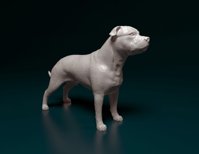 Staffordshire bull terrier 3 Modelo de impresión 3D .c4d .max .obj .3ds .fbx .stl .blend