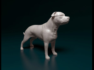 Staffordshire bull terrier 3 3Dプリントモデル