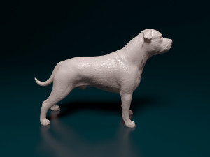 Staffordshire bull terrier 3 Modelo de impresión 3D