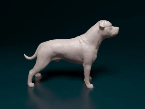 Staffordshire bull terrier 3 3D Print Model