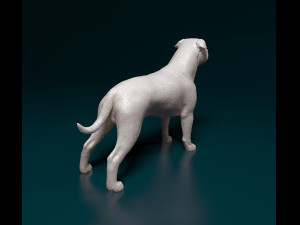 Staffordshire bull terrier 3 Modelo de impresión 3D