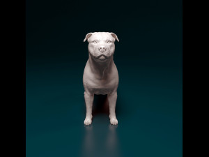 Staffordshire bull terrier 3 Modelo de impresión 3D
