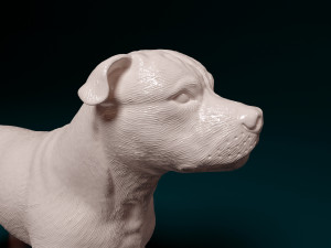 Staffordshire bull terrier 3 Modelo de impresión 3D