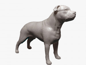 Staffordshire bull terrier 3 Modelo de impresión 3D