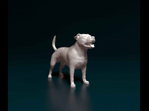 Staffordshire bull terrier 3D Print Model