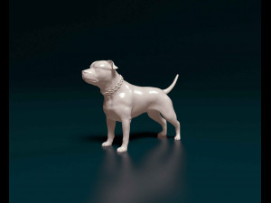Staffordshire bull terrier with chain Modelo de Impressão 3D