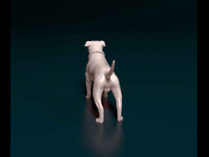 Staffordshire bull terrier with chain Modelo de Impressão 3D
