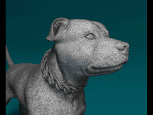 Staffordshire bull terrier with chain Modelo de Impressão 3D