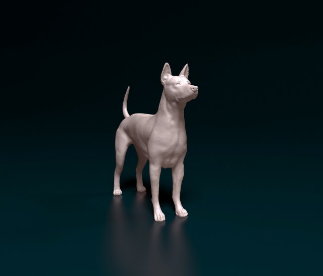 Thai Ridgeback 3D Принт Модель .c4d .max .obj .3ds .fbx .stl .blend 
