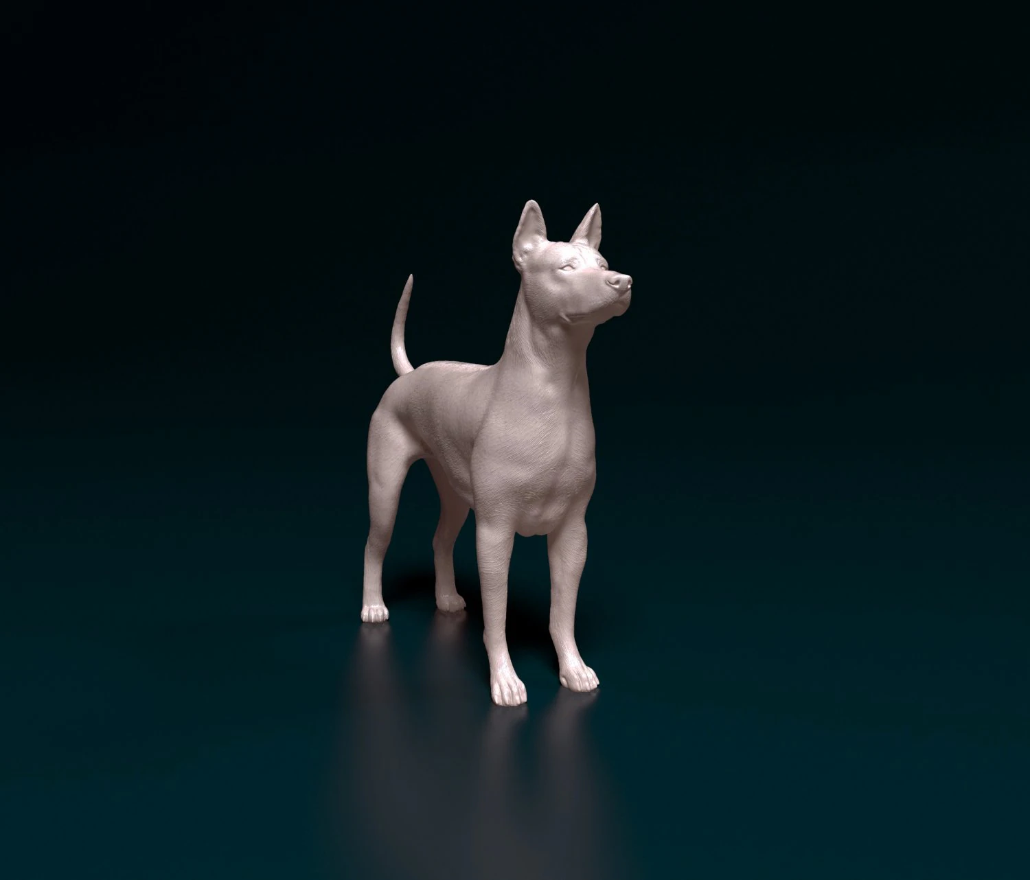 Thai Ridgeback 3D Print Model .c4d .max .obj .3ds .fbx .stl .blend 