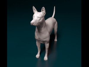 Thai Ridgeback 3D Принт Модель