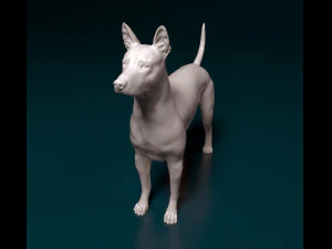 Thai Ridgeback 3D Print Model