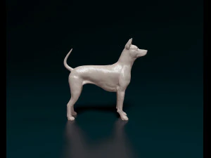 Thai Ridgeback 3D Print Model
