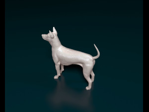 Thai Ridgeback 3D Принт Модель