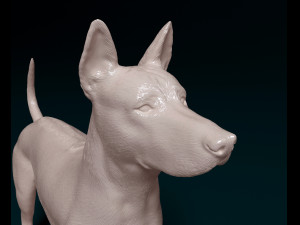Thai Ridgeback 3D Принт Модель