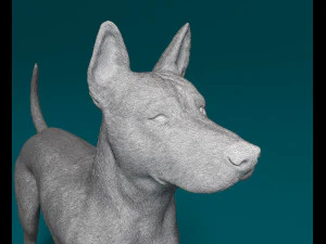 Thai Ridgeback 3D Print Model