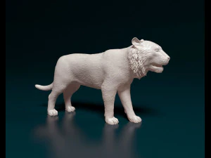 Tiger 3D Print Model