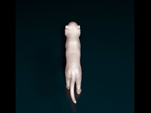 Tiger Modelo de Impressão 3D
