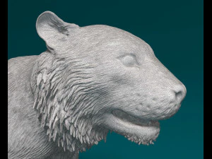 Tiger 3D Print Model