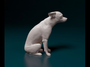 Toy terrier 3D 打印模型