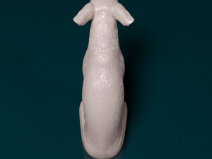 Toy terrier 3D 打印模型