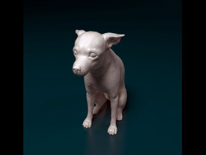 Toy terrier 3D 打印模型