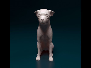 Toy terrier 3D 打印模型
