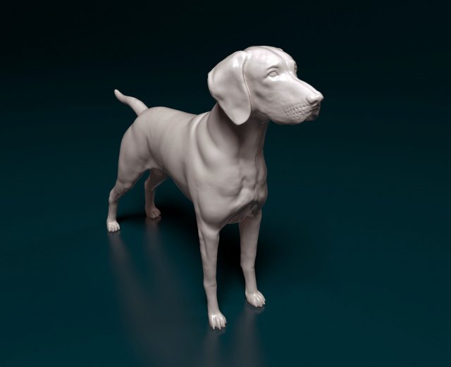 Vyzsla 3D Baskı Modeli .c4d .max .obj .3ds .fbx .stl .blend 