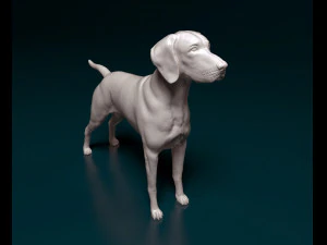 Vyzsla 3D Print Model