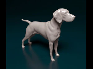 Vyzsla 3D Print Model