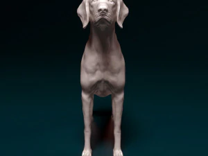 Vyzsla 3D Print Model