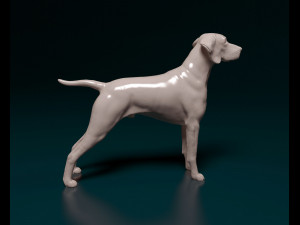 Vyzsla 3D Baskı Modeli