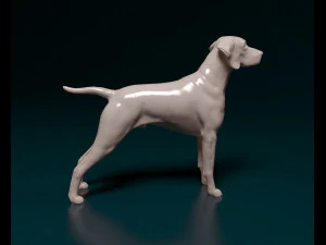 Vyzsla 3D Print Model