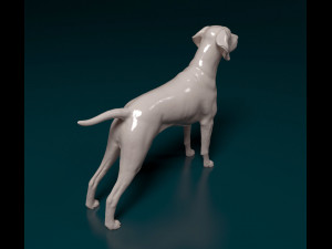 Vyzsla 3D Baskı Modeli