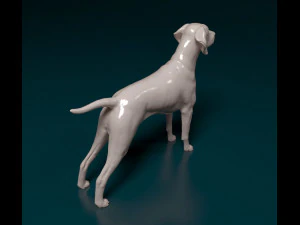 Vyzsla 3D Print Model