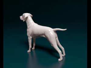 Vyzsla 3D Print Model