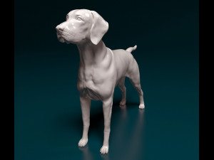 Vyzsla 3D Baskı Modeli