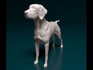 Vyzsla 3D Print Model