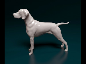 Vyzsla 3D Baskı Modeli