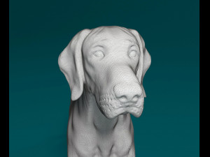 Vyzsla 3D Baskı Modeli
